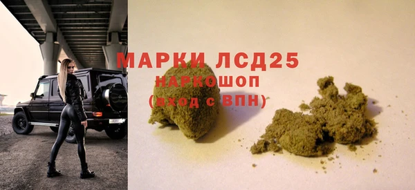 Альфа ПВП Магадан