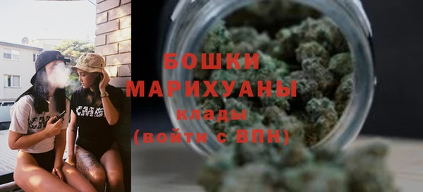 дживик Магас