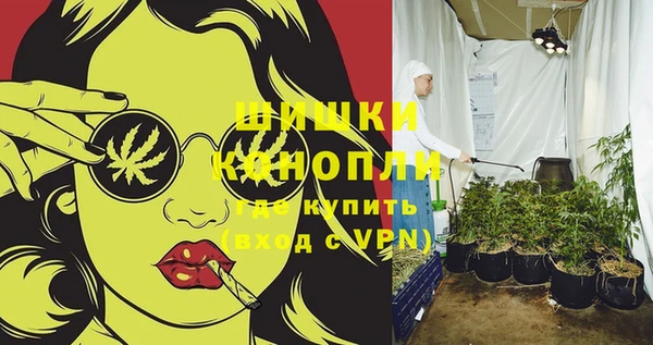 Альфа ПВП Магадан
