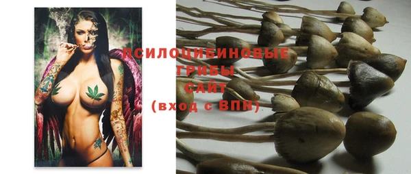 тгк Майский