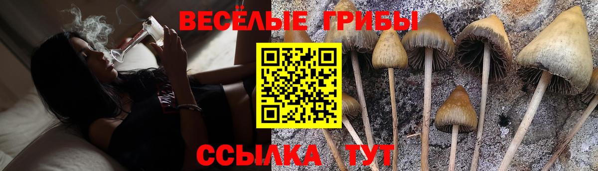 Галлюциногенные грибы MAGIC MUSHROOMS  как найти закладки  Елизово  Псилоцибиновые грибы прущие грибы  Вход с VPN 