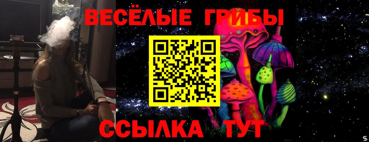 Псилоцибиновые грибы Psilocybe  Елизово 